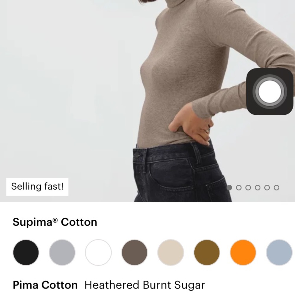 Iso Everlane Pima micro rib turtleneck burnt sugar